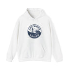 Saltwater Raised Hoodie