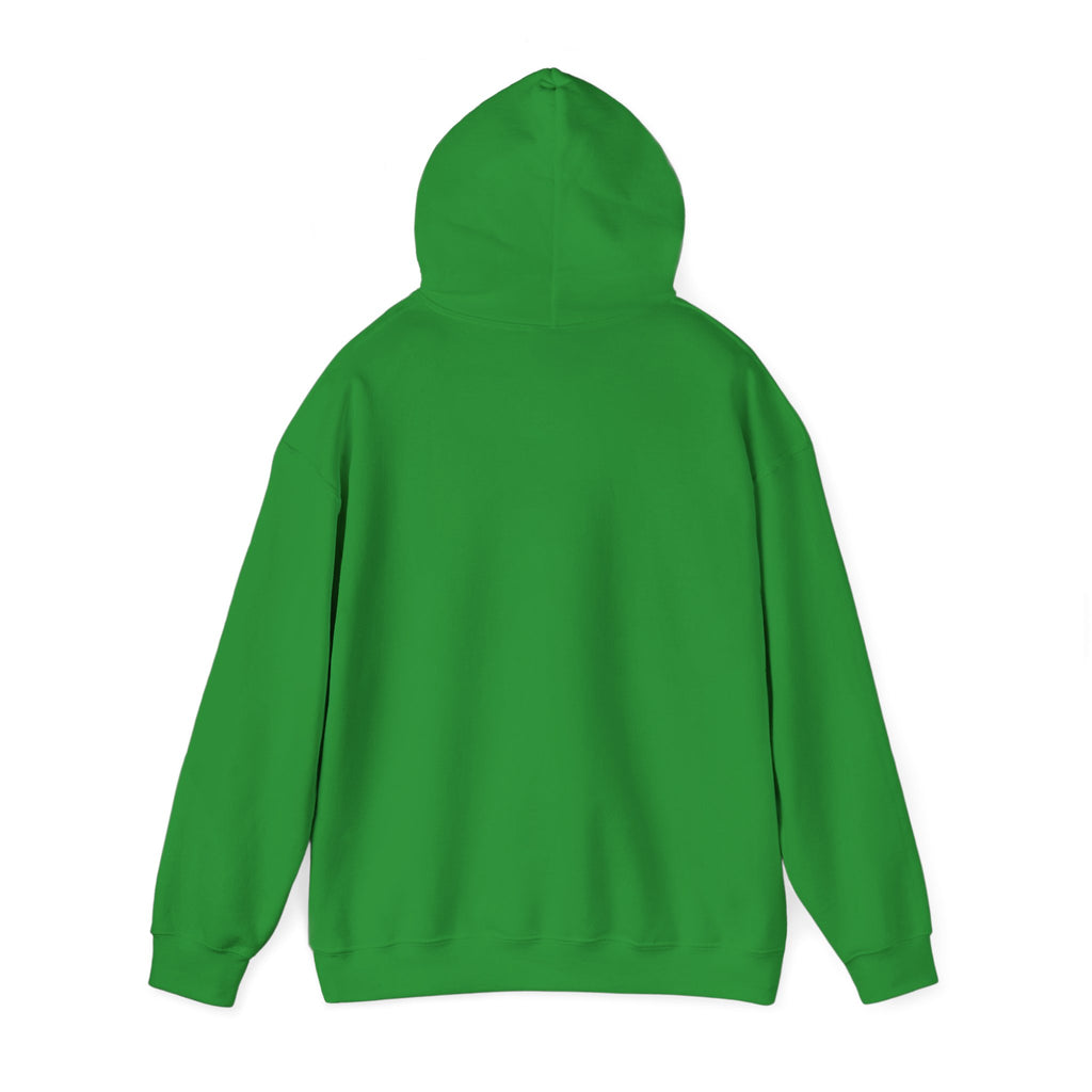 Saltwater Raised Hoodie