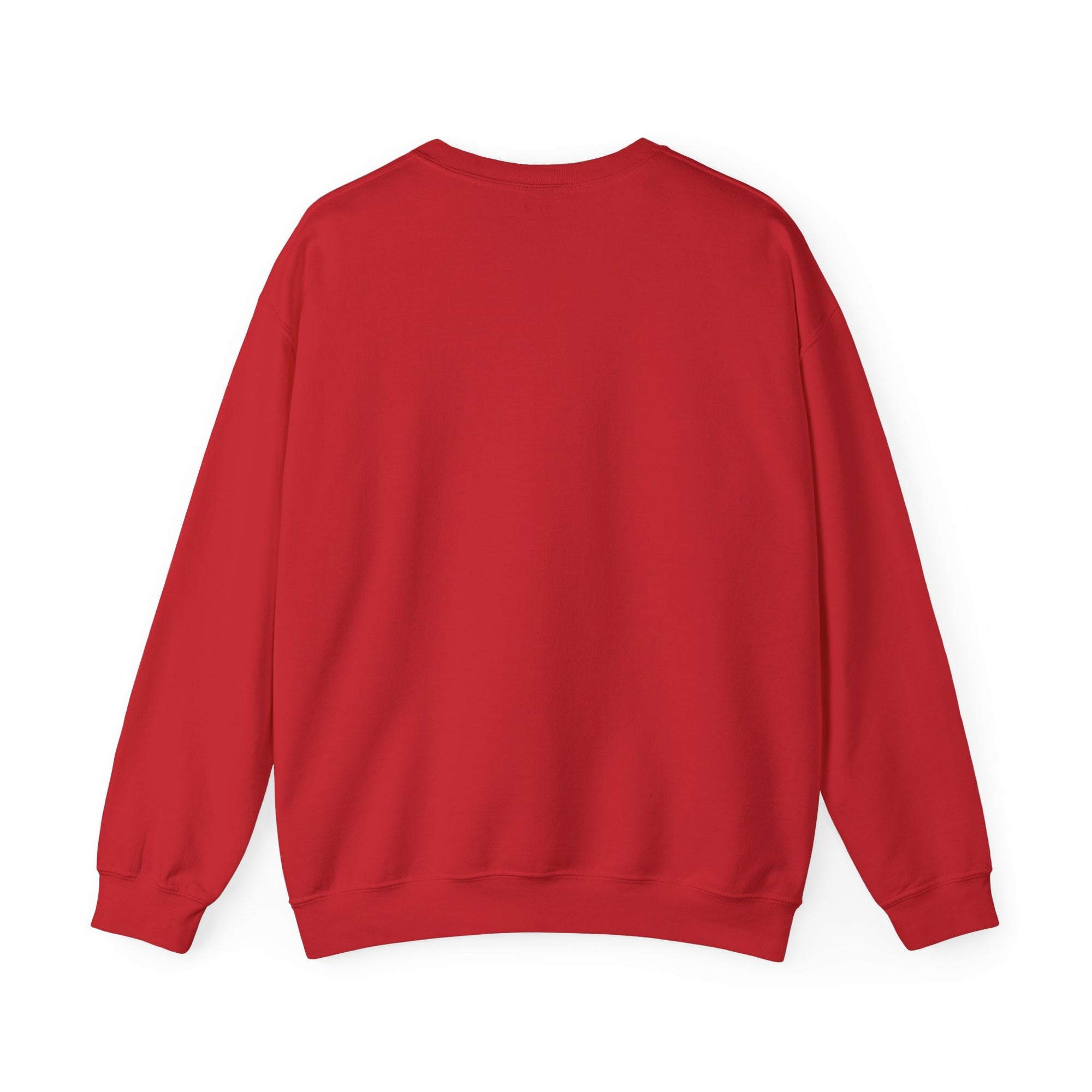 Saltwater Raised Crewneck Sweater