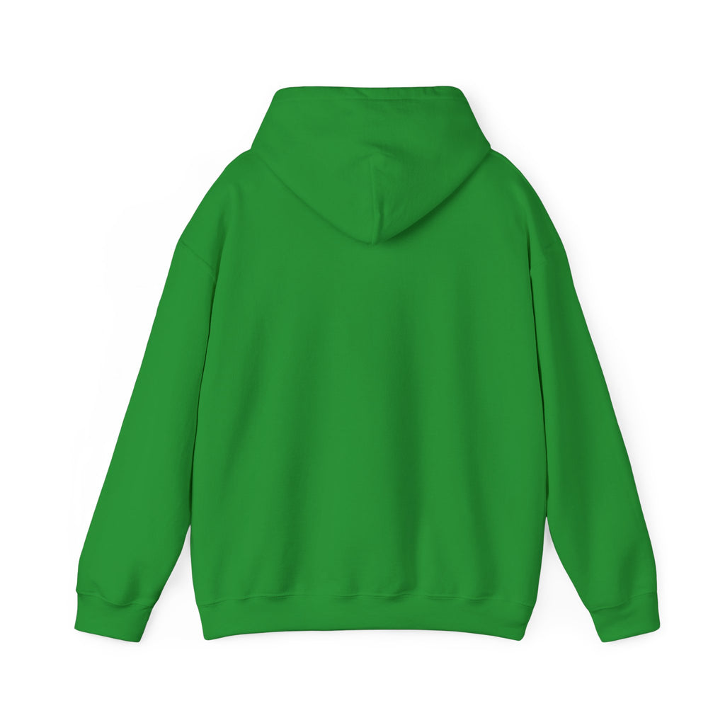 Saltwater Raised Hoodie